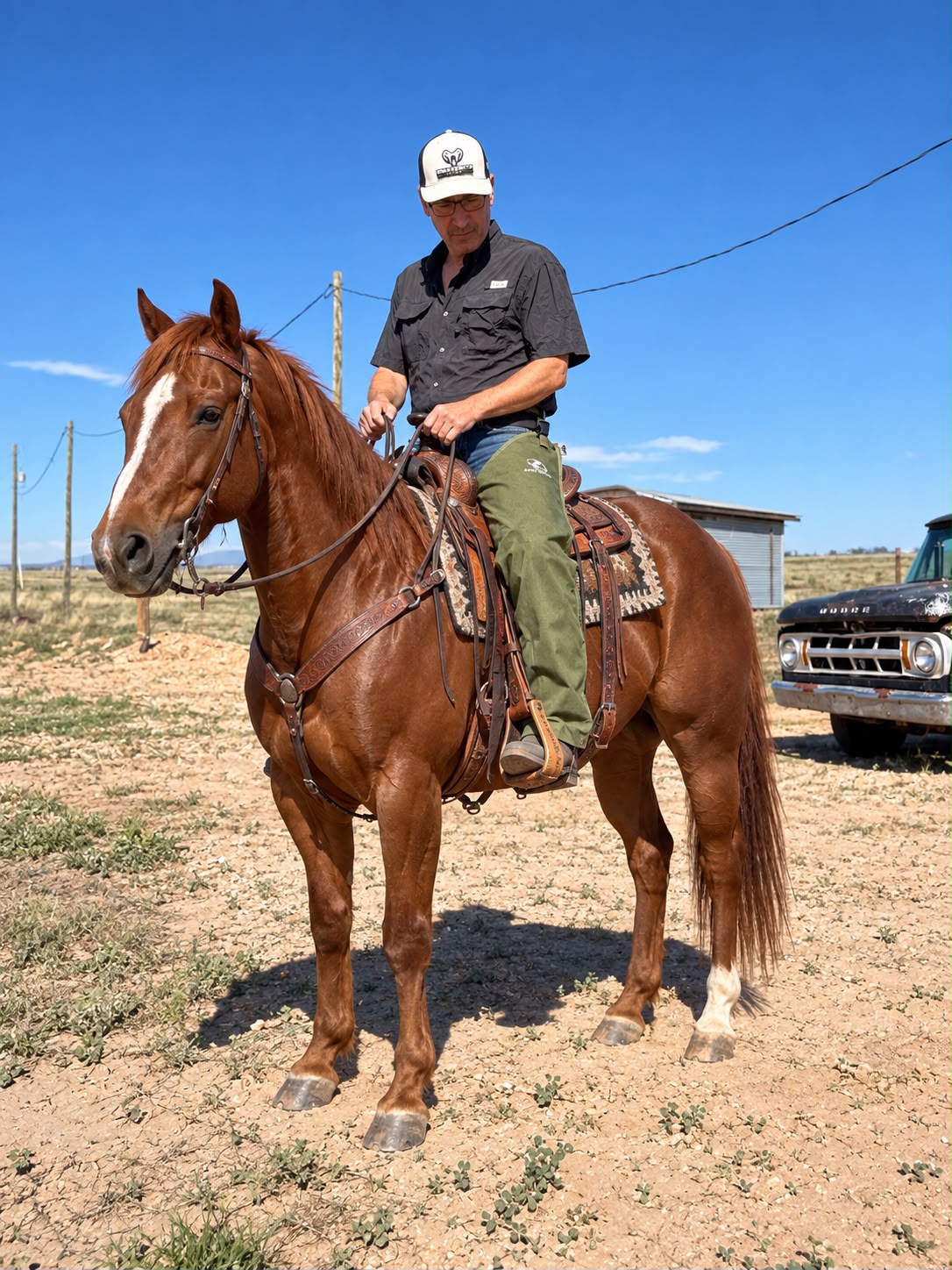 Snakebite gear Chaps